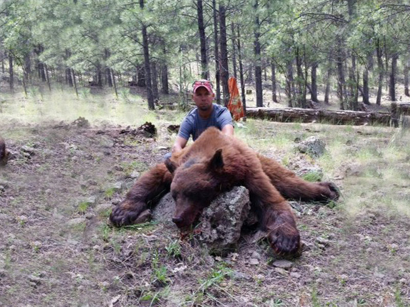 New Mexico Black Bear Hunting