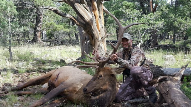New Mexico Elk Hunt 2
