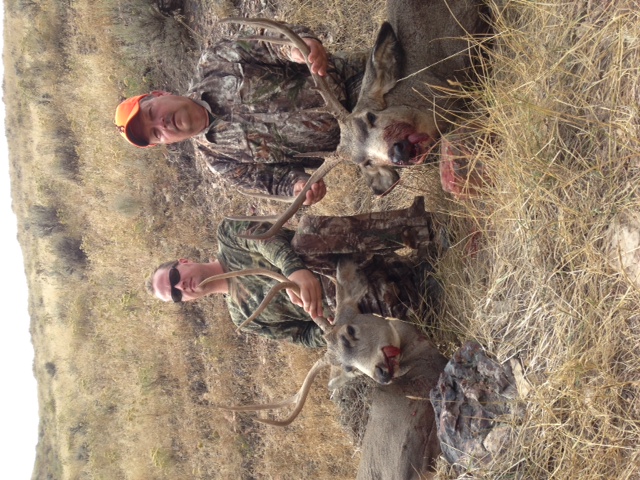 Mule Deer Hunting 2