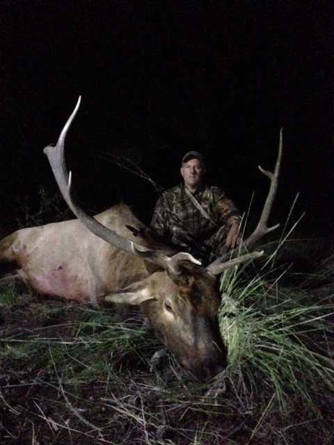 New Mexico Elk Hunt 1