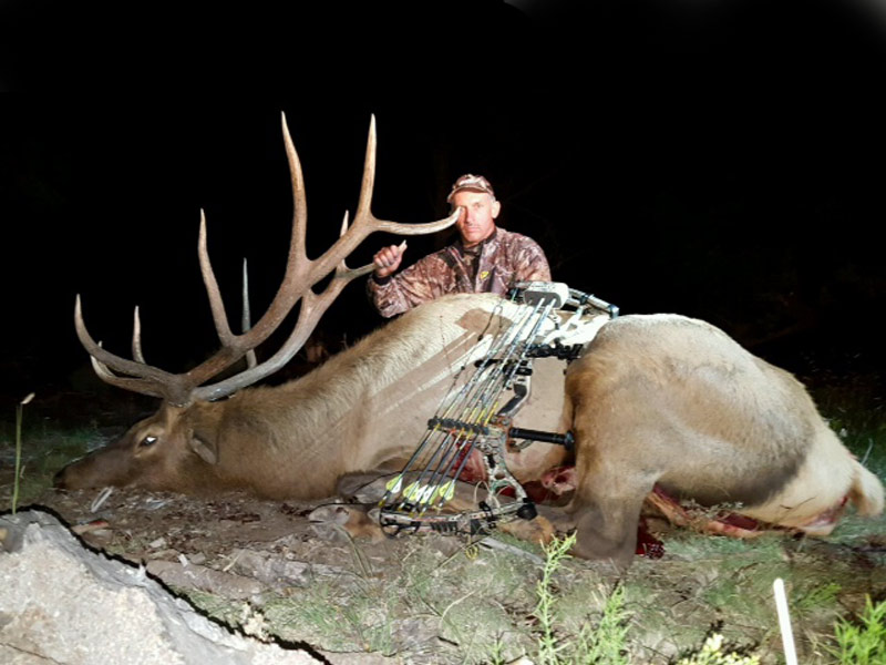 New Mexico Elk Hunting