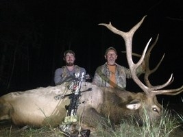 New Mexico Elk Hunting